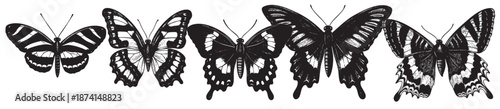 A graphic illustration featuring a collection of intricately designed black and white butterflies arranged side by side against a clean white background, evoking a sense of nature and elegance.