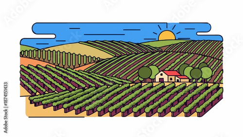 Rolling vineyards under a sunny sky with a small farmhouse and trees