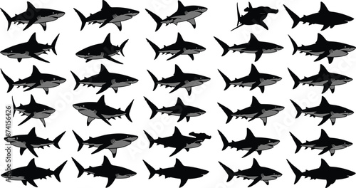 Black shark silhouette vector collection featuring various species like great white and hammerhead for marine life designs, predatory fish icons, and nautical themes
