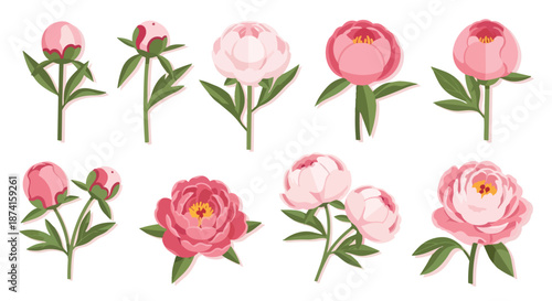Elegant Peony Bloom Collection showcasing soft pink petals and green foliage in flat design