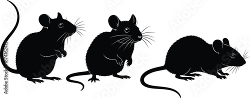 Set of black silhouettes featuring realistic rats and mice in various curious poses and standing positions isolated on a white background