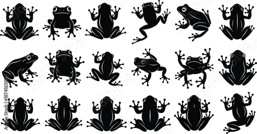 Frog silhouettes collection, amphibian animal icons set, jumping frog poses, black vector illustration isolated on white background, nature wildlife design