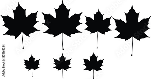 Maple leaf silhouette, black leaf icon, autumn foliage shape, botanical vector, nature clipart, isolated leaves, seasonal design element