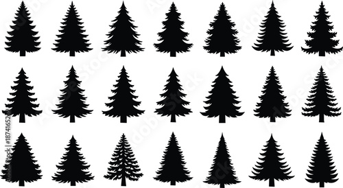 Pine, and, spruce, tree, silhouettes, set, featuring, evergreen, conifers, in, various, shapes, for, forest, nature, winter, and, Christmas, outdoor, designs& Illustration