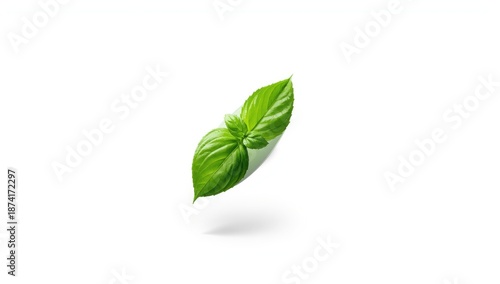 Isolated basil herb on white background, highlighting natural food ingredient qualities