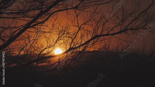 冬の夕暮れ、木の枝越しに沈む太陽