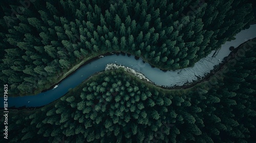 Aerial top-down view of a winding river flowing through a dense forest.