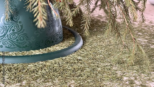 Fallen Christmas Tree Needles on Floor After Holidays