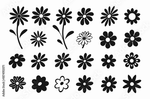 Set of Black and White Daisy Flowers and Blossoms Illustration