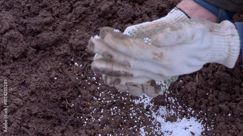 Agribusiness. Potassium nitrogen fertilizers in protected hands. farmer sprinkles white balls of ammonium nitrate. Smart farming, using modern enrichment. Future agriculture concept. 2026, 4K