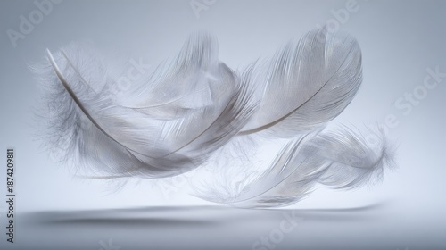 Abstract Feather Design With Pattern
