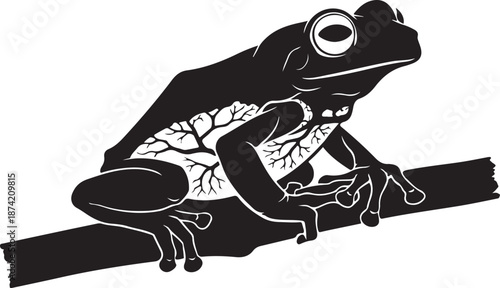 Emerald Glass Frog in silhouette white background.