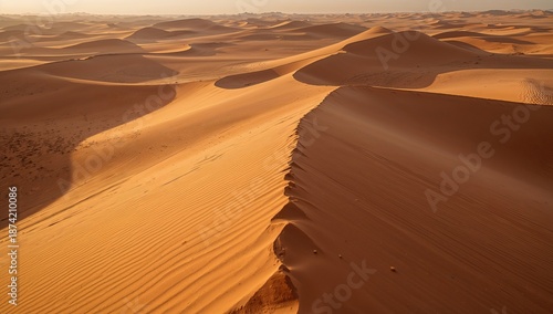 Close-up of a sand dune hig...