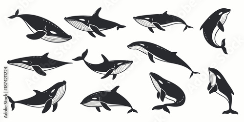 Stylized Black and White Vector Whale Illustrations Showing Different Swimming and Breaching Poses