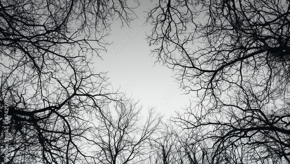 Obraz premium Abstract black and white tree pattern serving as a nature-inspired UI backdrop