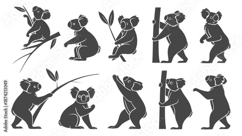 Australian koala marsupial silhouettes in diverse natural poses vector illustration set