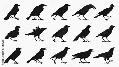Collection of Black Crow Silhouette Illustrations Depicting Various Dynamic Poses