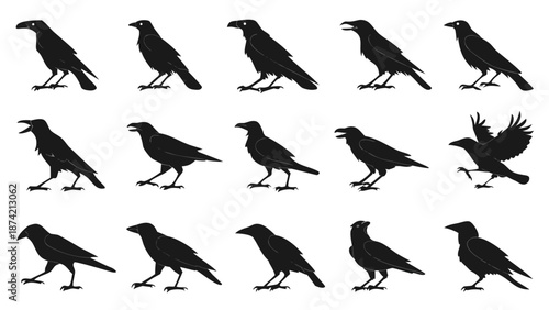 Black Crow Silhouette Illustrations Depicting Various Walking and Vocalizing Poses