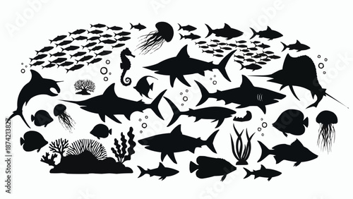 Collection of diverse marine life silhouettes in black and white.