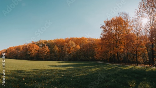 Expansive landscape of a wo...