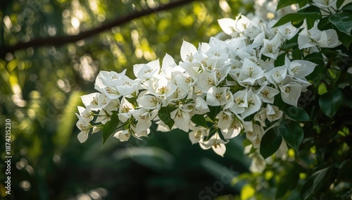 Outdoor garden scene with w...
