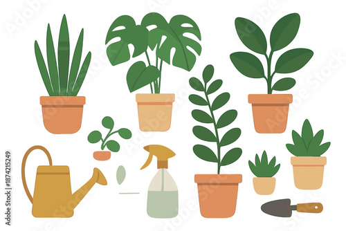 Plants in pots on a table with gardening tools and watering can for indoor gardening setup at home