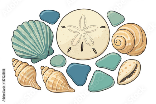 Shells and stones arranged on a surface in a beach themed display