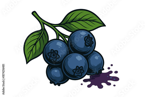 Fresh blueberries on a branch with green leaves leaving a purple stain on white surface