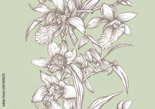 Vanilla orchid seamless coloring page. Botanical outline with hand drawn vanilla flowers branches leaves and pods. Vintage decorative motif for printable kitchen dessert sweet food textile projects.