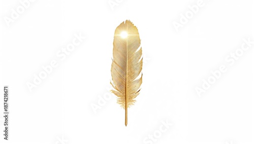Close-up of a golden feathe...