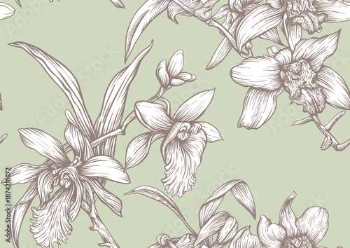 Vanilla orchid seamless coloring page. Botanical outline with hand drawn vanilla flowers branches leaves and pods. Vintage decorative motif for printable kitchen dessert sweet food textile projects.