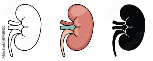 Kidneys Vector Icon. Black and White, Color Solid Style Kidney Illustration Isolated on White Background