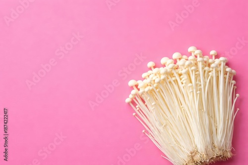 Fresh enoki mushrooms arran...