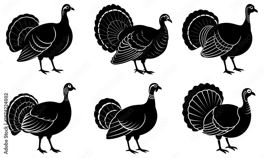 Obraz premium Six Black and White Turkey Silhouettes with Fan Tails on Transparent Background bird