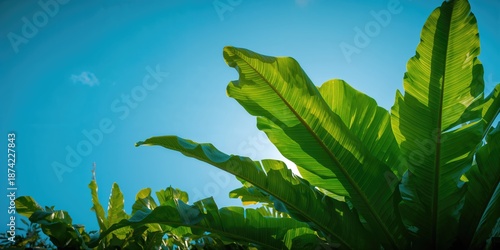 Bright blue sky background ...