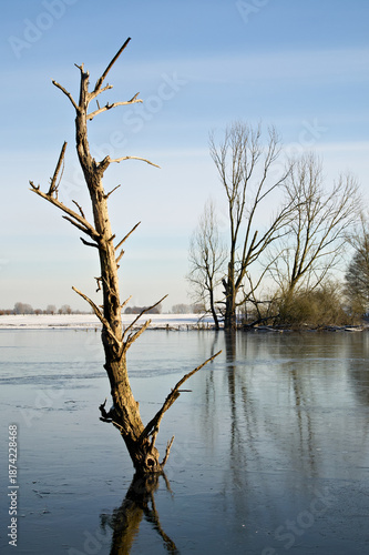 Bislicher Insel Januar 2026