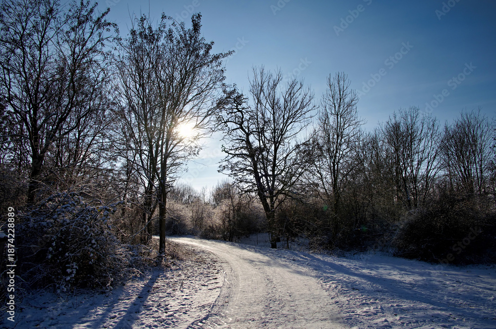 Fototapeta premium Bislicher Insel Januar 2026