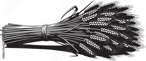 A bundle of wheat tied with a ribbon tightly