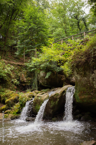Landscape of green forest with waterfall