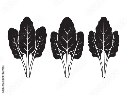 Black and white illustration of three leafy greens