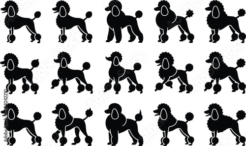 Collection of black poodle silhouettes in various poses and styles white background