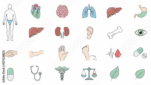 Collection of Human Anatomy and Medical Icons.