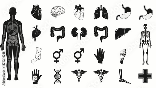 Collection of Human Anatomy and Medical Symbols Icons.