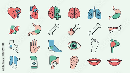 Collection of Human Anatomy Icons Medical Health Symbols.