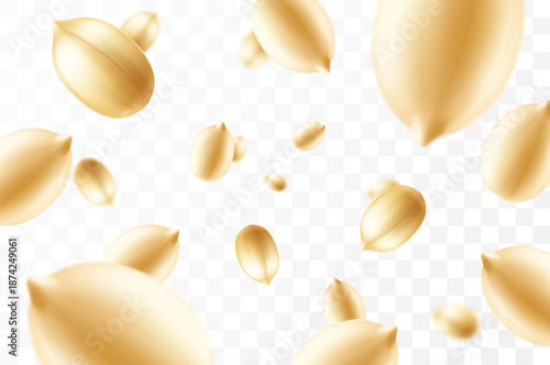 Falling peanuts, isolated on transparent background, selective focus. Flying peanut with blurry effect. Can be used for advertising, packaging, banner, poster. Realistic 3d vector illustration
