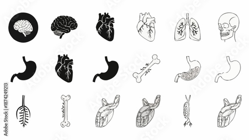 Collection of Human Organ Illustrations and Icons.