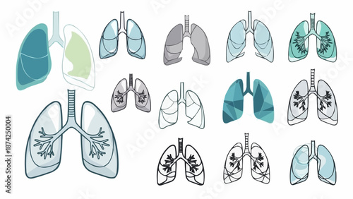 Collection of Human Lung Illustrations Medical Anatomy Diagrams.