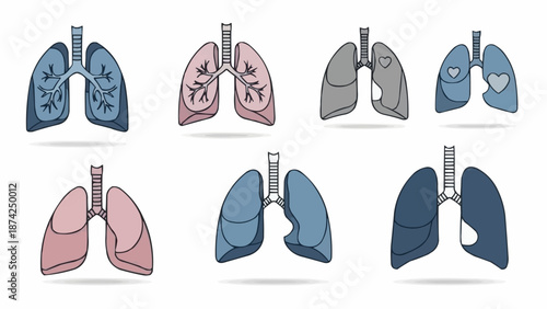Collection of Human Lungs Anatomical Illustrations.