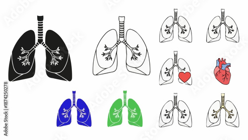 Collection of Human Lungs and Heart Illustrations.
