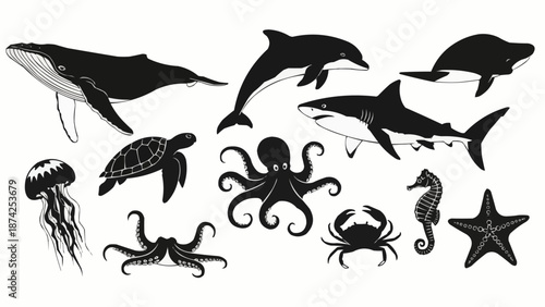 Collection of marine animal silhouettes in black and white.